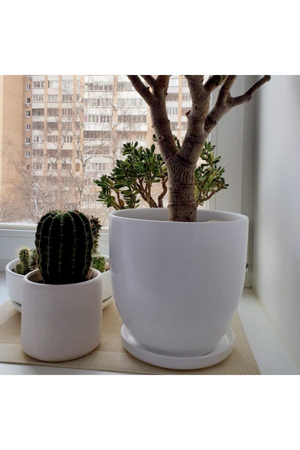 Керамический горшок 