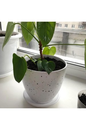 Керамический горшок Терраццо с подставкой, 1, 4 л., Д135 Ш135 В130, белый