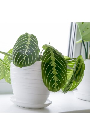 Керамический горшок Рельеф с подставкой, 2, 4 л., Д175 Ш175 В158, белый