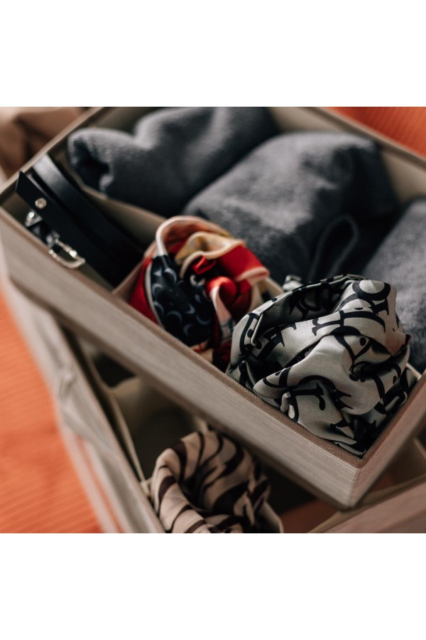 Органайзер для хранения 