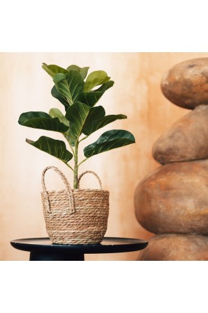 Кашпо плетеное "Сафари" с ручками, Д215 Ш215 В190, натуральный