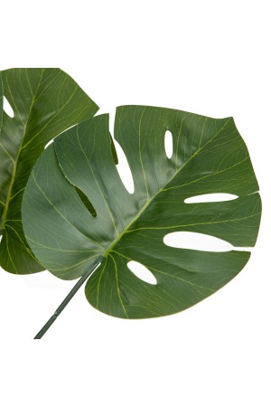 Монстера в керамическом горшке, Д120 Ш120 В700