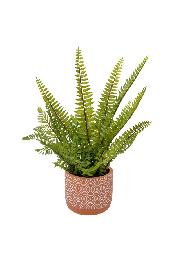 Папоротник в керамическом горшке, Д120 Ш120 В420