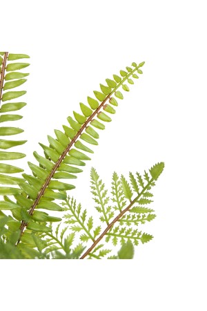 Папоротник в керамическом горшке, Д120 Ш120 В420