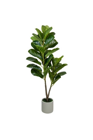 Фикус в цементном горшке, Д140 Ш140 В960