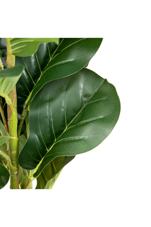 Фикус в цементном горшке, Д140 Ш140 В960