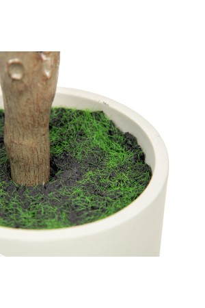 Фикус в цементном горшке, Д140 Ш140 В960