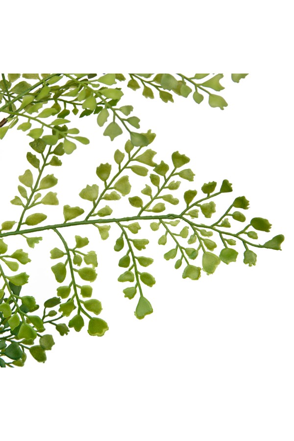 Папоротник курчавый в цементном горшке, Д125 Ш125 В710