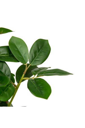 Мини дерево в керамическом горшке, Д135 Ш135 В610