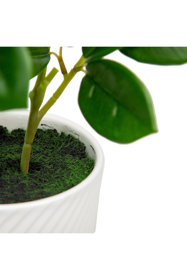 Мини дерево в керамическом горшке, Д135 Ш135 В610