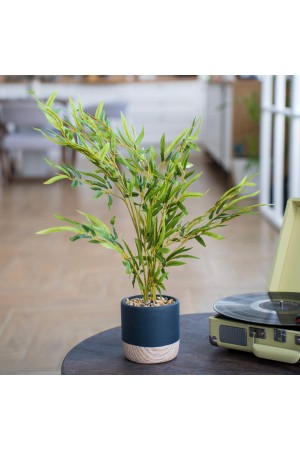 Бамбук в цементном горшке, Д125 Ш125 В650