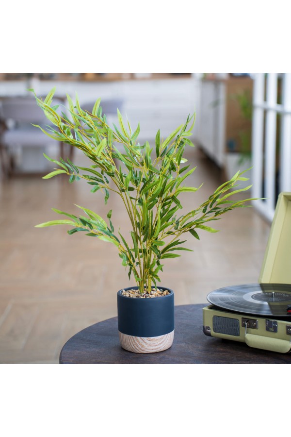 Бамбук в цементном горшке, Д125 Ш125 В650