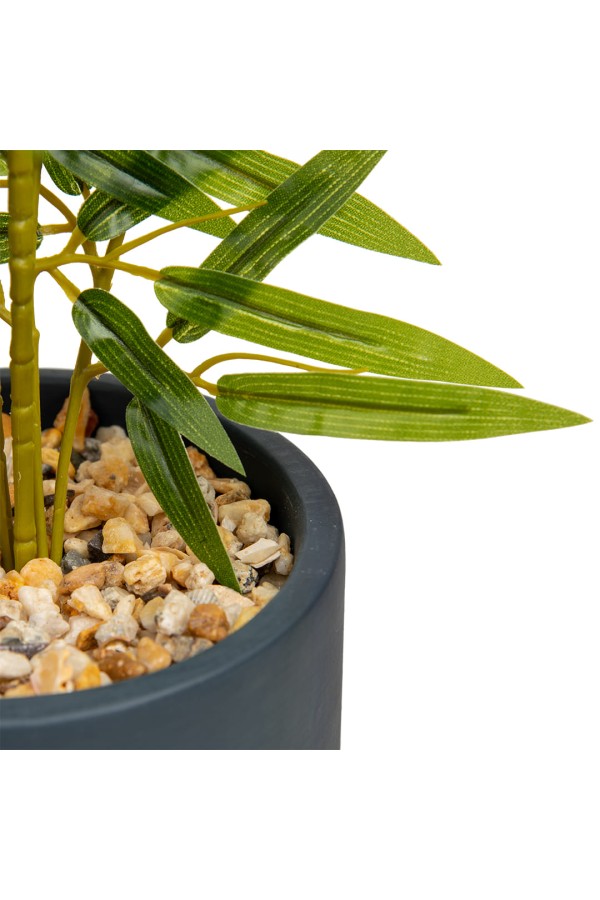 Бамбук в цементном горшке, Д125 Ш125 В650