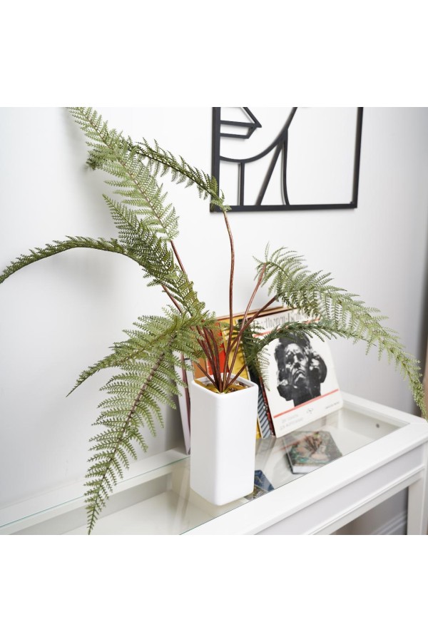 Папоротник в керамическом горшке, Д110 Ш110 В930