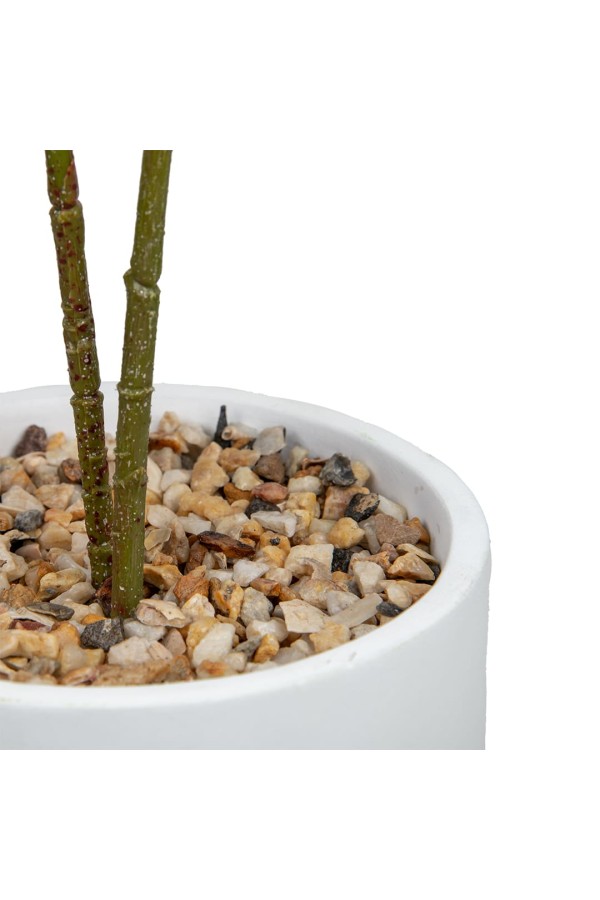 Дерево в цементном горшке с подставкой из МДФ, Д140 Ш140 В790