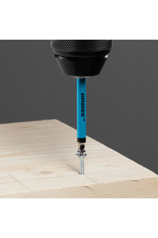 Бита PH2 х 90, сталь S2, 10 шт. Gross