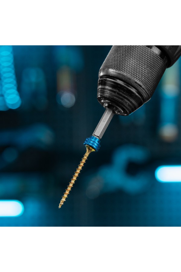 Бита PH2 x 50 мм с ограничителем и магнитом, для ГКЛ, S2 Gross