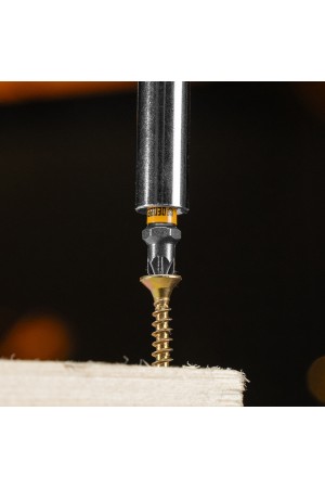 Бита PZ1х25, сталь S2, шестигранный профиль, 10 шт. Е 6,3 Denzel