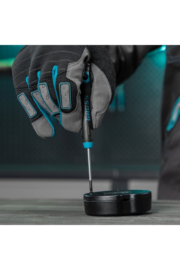 Набор отверток для точной механики, CrMo, двухкомпонентные рукоятки, 6 шт, пластиковый бокс Gross