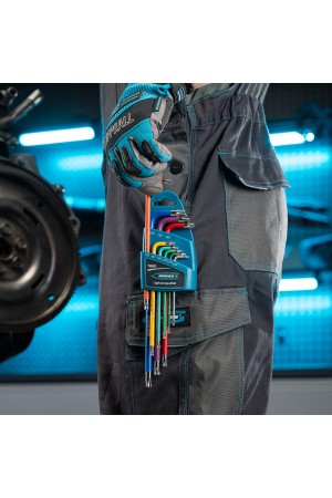 Набор ключей имбусовых Torx -TT, 9 шт: T10-T50, магнит, S2, экстра-длинные, хром/краска 9 шт Gross