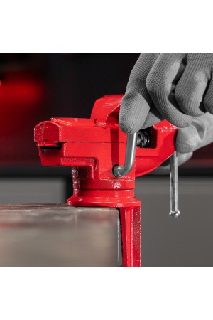 Тиски слесарные, 50 мм, настольные, поворотные, c наковальней MTX