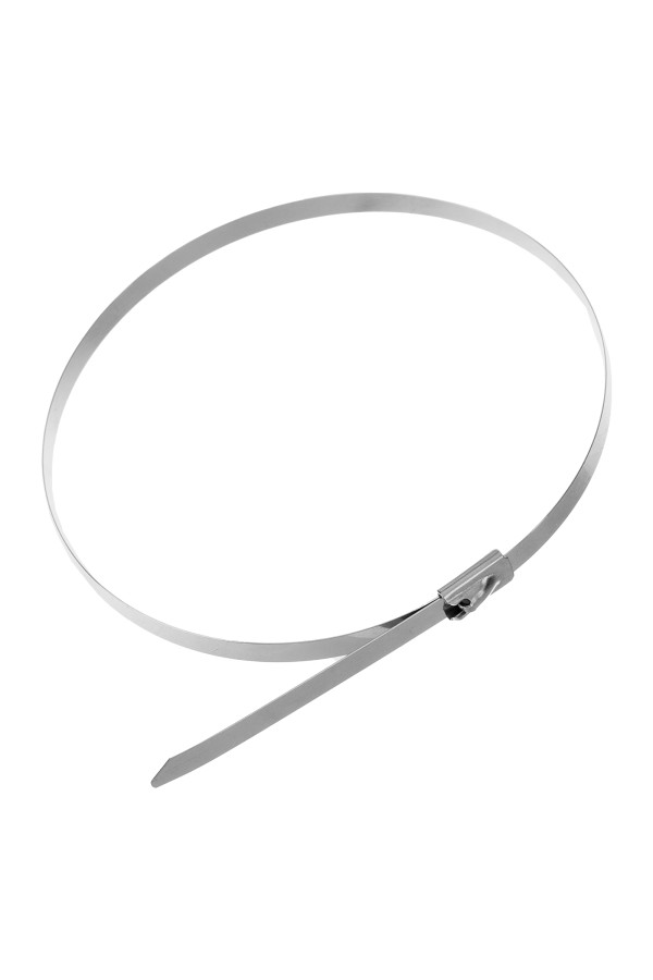 Хомуты, 300 х 4.6 мм, нержавеющая сталь, 50 шт Сибртех