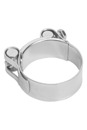 Хомуты металлические, силовые 52-55 мм, ширина 22 мм, шарнирный, W1, 2 шт Сибртех