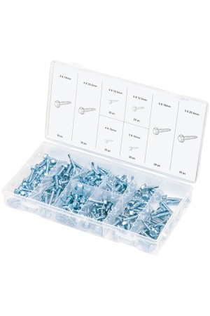 Набор саморезов: 4 х 12.5, 4 х 16, 4 х 19, 4 х 25.5, 5 х 12.5.5 х 16.5 х 19.5 х 25.5 мм, 200 предметов Сибртех