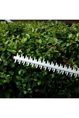 Кусторез аккумуляторный RBC510-36, Li-ion, 36 В, 4 Ач, нож 510 мм, поворотная ручка Denzel