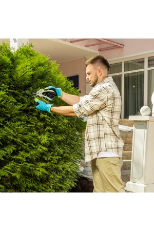 Секатор с наковальней, 210 мм, пластиковые рукоятки Palisad