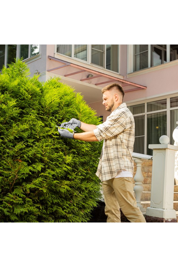 Секатор прямого реза, 225 мм, металлические рукоятки, нижняя в ПВХ-оболочке Сибртех