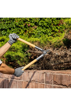 Сучкорез прямого реза, 500 мм, деревянные рукоятки, Горизонт, Россия