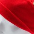 Шапка из флиса для взрослых, размер 56-57, красная Россия Сибртех