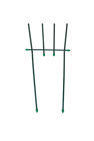 Шпалера «Веер» 0.5/0.9 х 2 м Россия