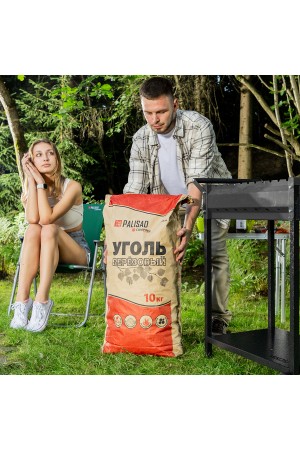 Уголь березовый, 10 кг, Россия Camping Palisad
