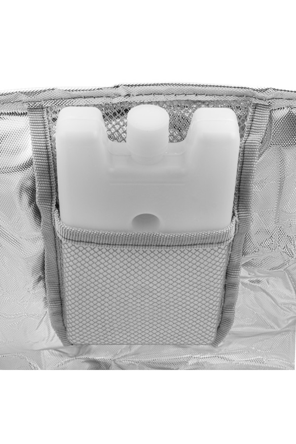 Сумка холодильник 320 x 250 x 240 мм, с двумя охлаждающими блоками Camping Palisad