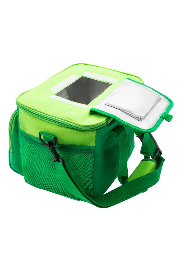 Сумка холодильник 320 x 250 x 240 мм, с двумя охлаждающими блоками Camping Palisad