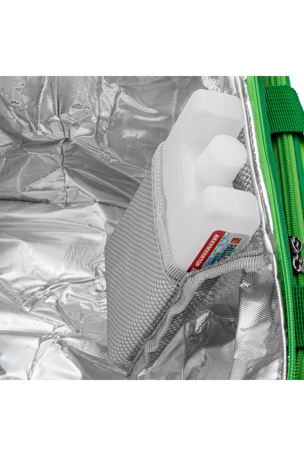 Сумка холодильник 320 x 250 x 240 мм, с двумя охлаждающими блоками Camping Palisad