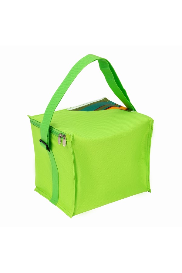 Сумка холодильник 280 х 200 х 240 мм, Camping Palisad