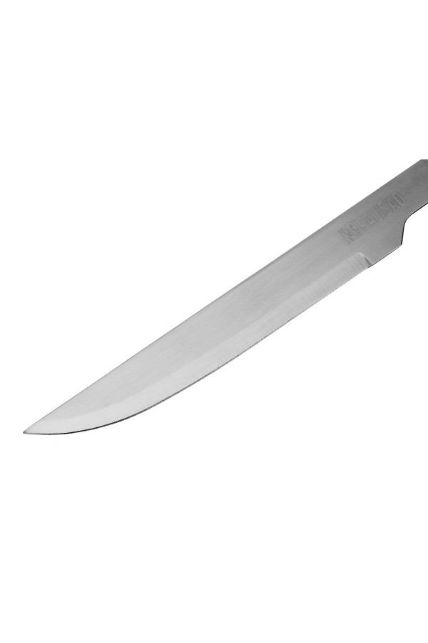 Нож для барбекю 35 см, нержавеющая сталь Camping Palisad