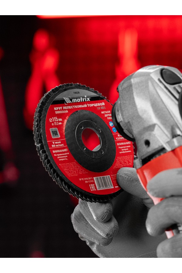 Круг лепестковый торцевой, P 60, 115 х 22.2 мм Matrix