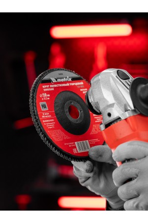 Круг лепестковый торцевой, P 60, 150 х 22.2 мм Matrix
