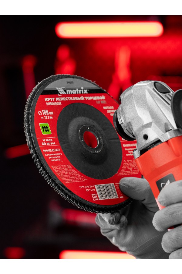 Круг лепестковый торцевой, P 80, 180 х 22.2 мм Matrix