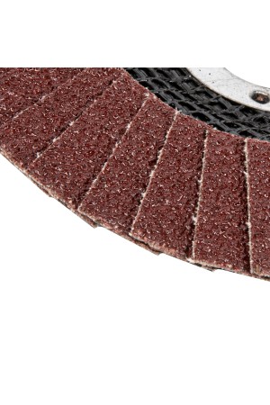 Круг лепестковый торцевой, конический, Р 60, 125 х 22.2 мм Сибртех