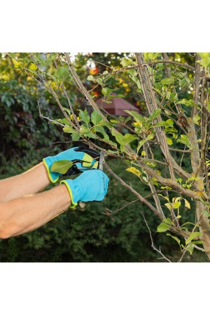 Нож садовый складной, прямое лезвие, 173 мм, деревянная рукоятка, Palisad