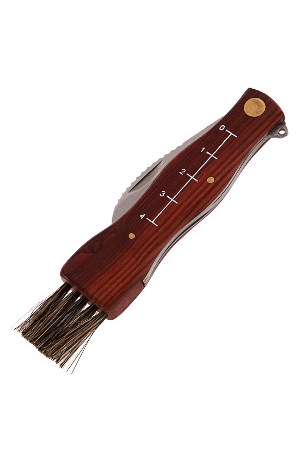 Нож грибника складной, 145 мм, деревянная рукоятка, Palisad