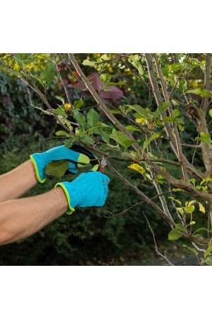 Нож грибника складной, 145 мм, деревянная рукоятка, Palisad