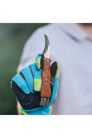 Нож грибника складной, 145 мм, деревянная рукоятка, Palisad