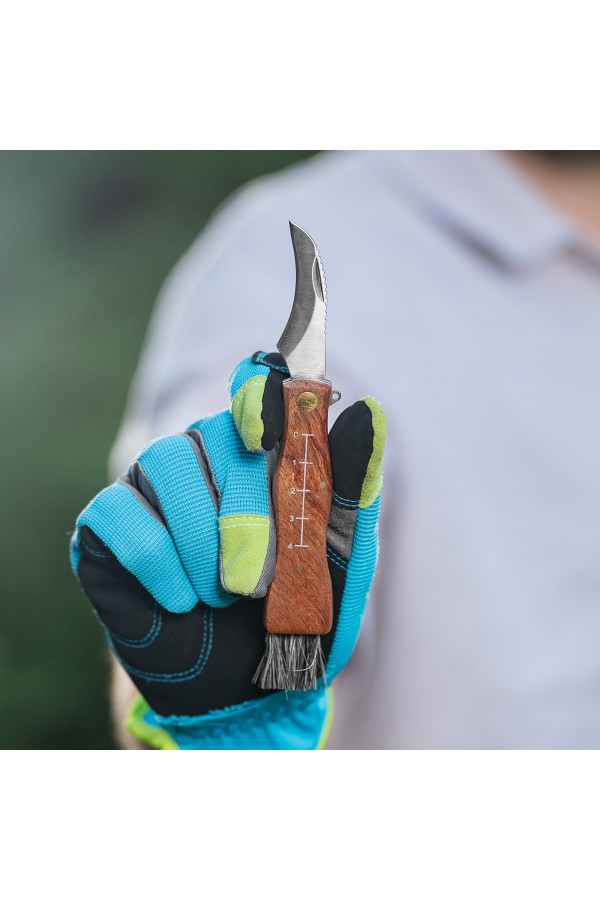 Нож грибника складной, 145 мм, деревянная рукоятка, Palisad