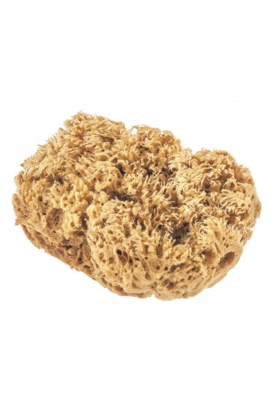 Губка натуральная для декоративных покрытий Matrix